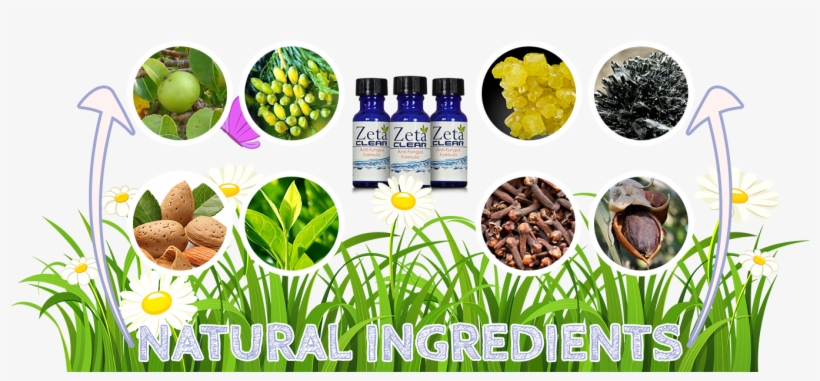 Zetaclear Ingredients - Jojoba Oil Organic-60ml, transparent png #3041864
