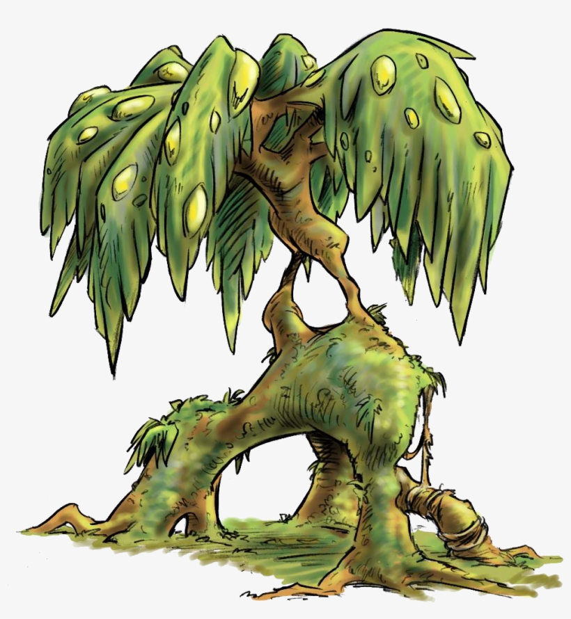 Tree, transparent png #3042213
