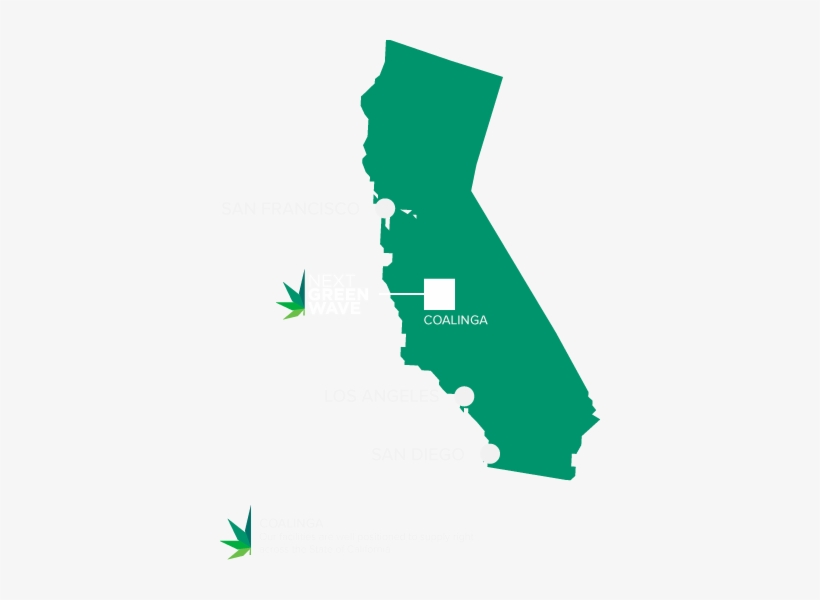 Next Green Wave Is Well Positioned To Become A Key - Next Green Wave Holdings, transparent png #3042329