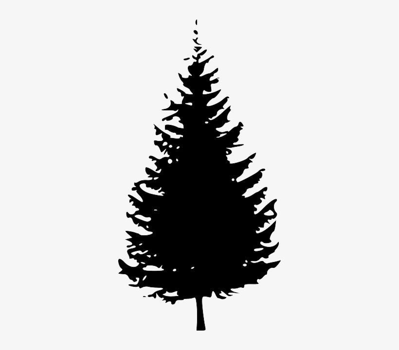 Dark Christmas Tree - Pine Tree Clipart Black And White, transparent png #3042598