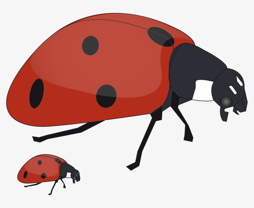 Fox Clipart Mommy - Mother And Baby Insect, transparent png #3042618