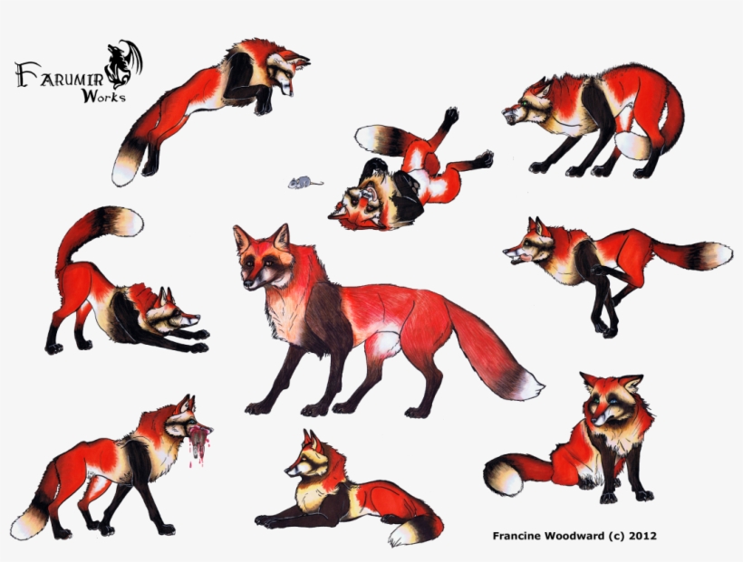 Large Size Of Fox Girl Drawing Easy Cute Step By Anime - Cat And Wolf Drawings, transparent png #3042713