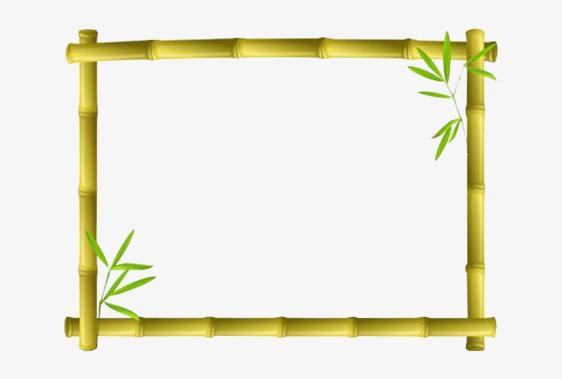 Bambus Facecam 480p - Bamboo Frame Clip Art, transparent png #3042855