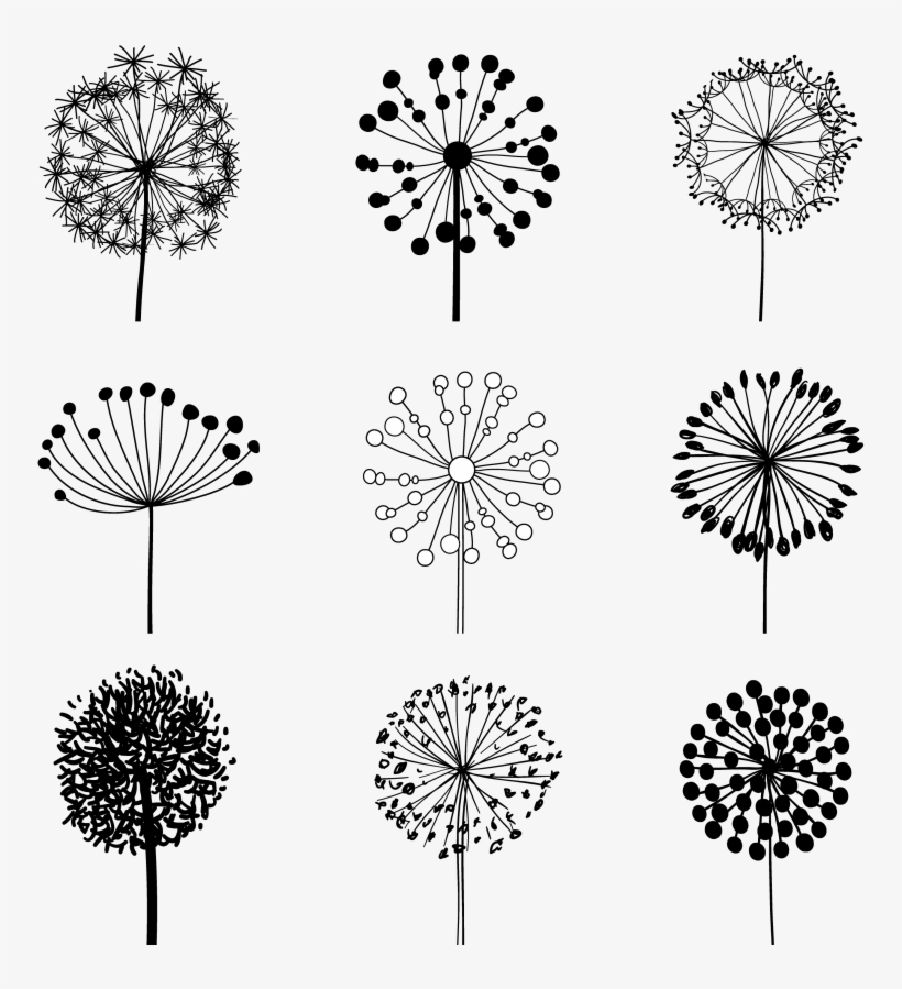 Dandelion Vector - Dandelion Vector Png, transparent png #3043847