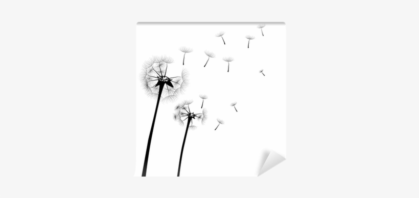 Wall, transparent png #3043914