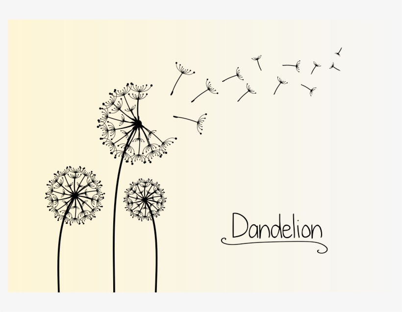 Dandelions - Floral Design, transparent png #3044065