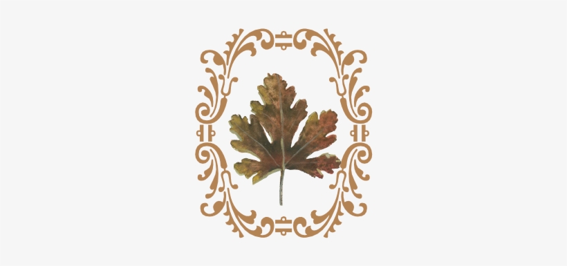 Leaf Flourish - Treasure Of The Humble By Maeterlinck Maurice, transparent png #3045859
