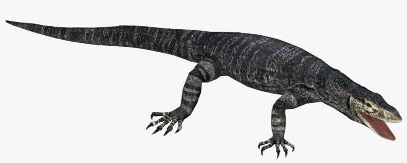 Lace Monitor - Monitor Lizard From Zoo Tycoon 3, transparent png #3045957
