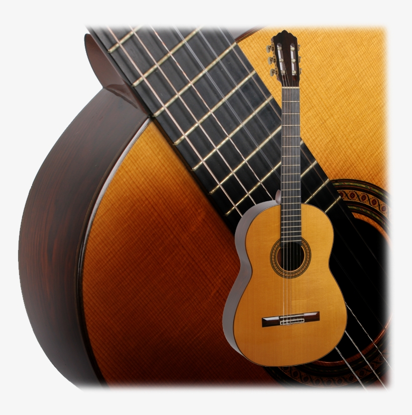 Robert's Reputation For Fine Guitars And Building Perfection - Acoustic Guitar, transparent png #3046421