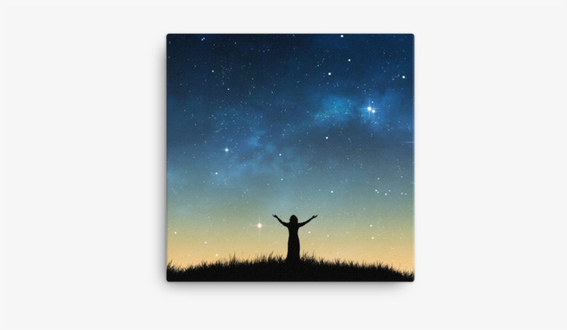 Spiritual Champion: A Devotional Women's Study 365, transparent png #3047149