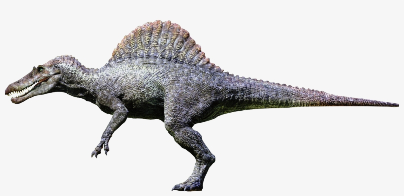 Spinosaurus Png Free Download - Spinosaurus Jurassic Park, transparent png #3047623