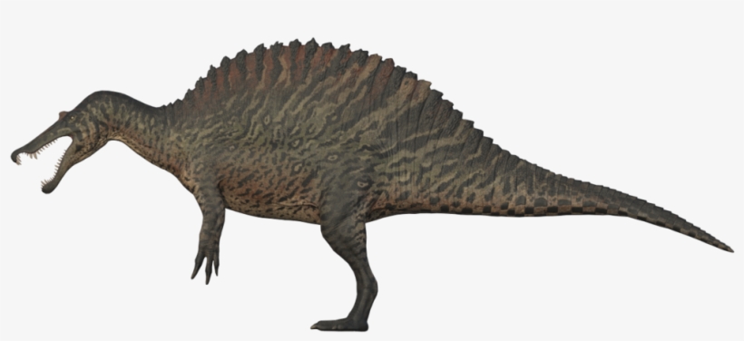 Spinosaurus The Isle - Isle Spinosaurus Skins Jurassic Park, transparent png #3047627