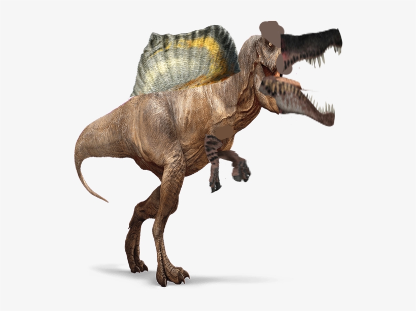 Spinosaurus Png Pic - Spinosaurus Rex Png, transparent png #3047673