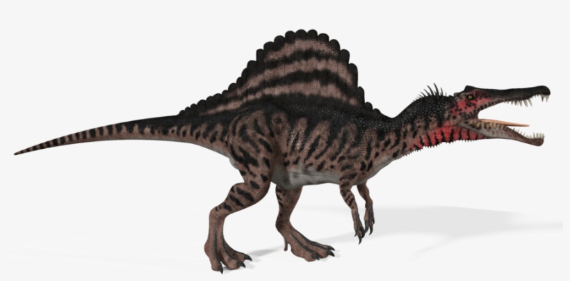 Spinosaurus - T Rex Spinosaurus Dinosaurs, transparent png #3047694