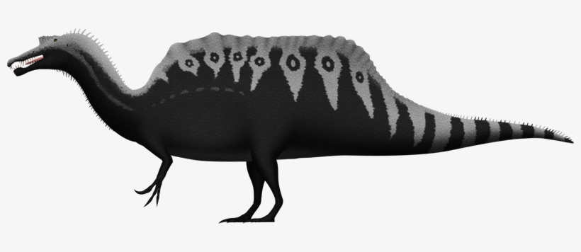 Spinosaurus Aegyptiacus By Spinoinwonderland - Pivot Spinosaurus, transparent png #3047720