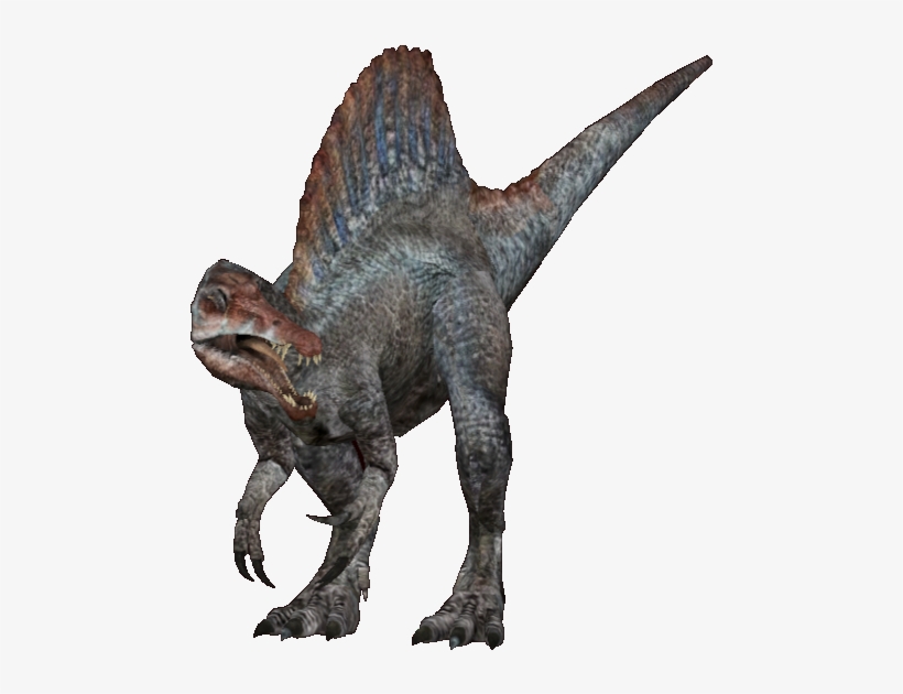 Jp Spinosaurus Version - Zoo Tycoon 2 Spinosaurus Jp, transparent png #3047744