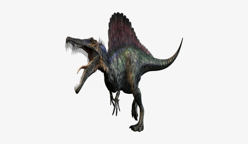 Spinosaurus - T Rex Spinosaurus Dinosaurs, transparent png #3047924