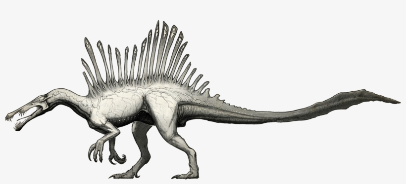Neurotenic Spinosaurus - Spinosaurus, transparent png #3048268