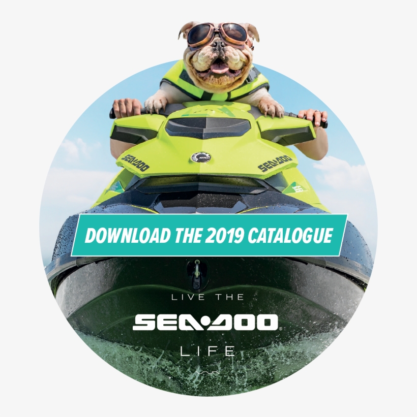 Seadoo - Sea Doo, transparent png #3048525
