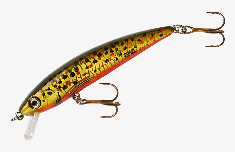 Brown Trout - Fishing Lure, transparent png #3048852