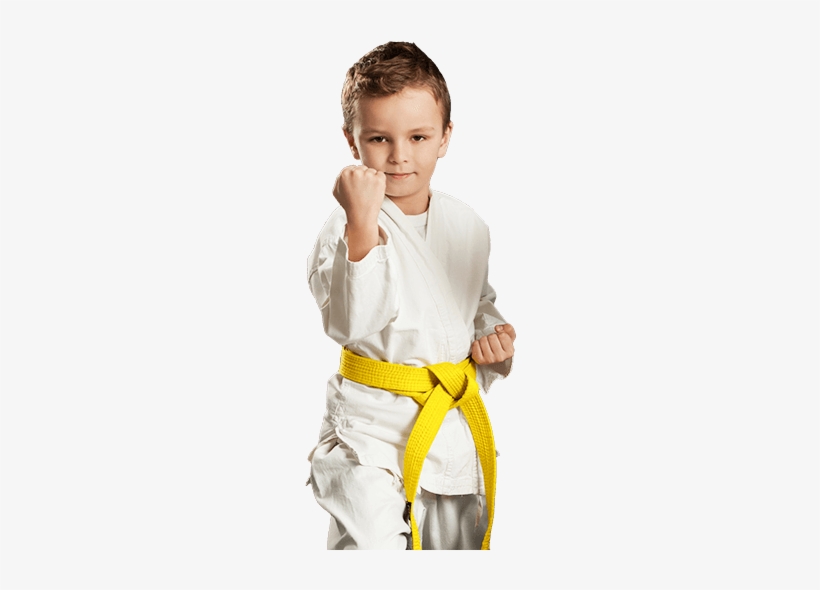 Kids Martial Arts - Shidokan, transparent png #3049116