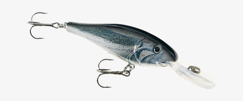 Hds Floating Shad - Cabela's Realimage Hds Floating Shad - Natural, transparent png #3049502