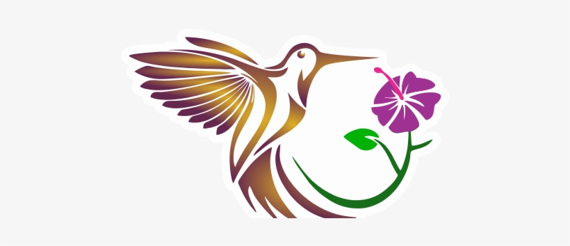 Aves Exóticas De Colombia - Aves Exoticas De Colombia, transparent png #3049756