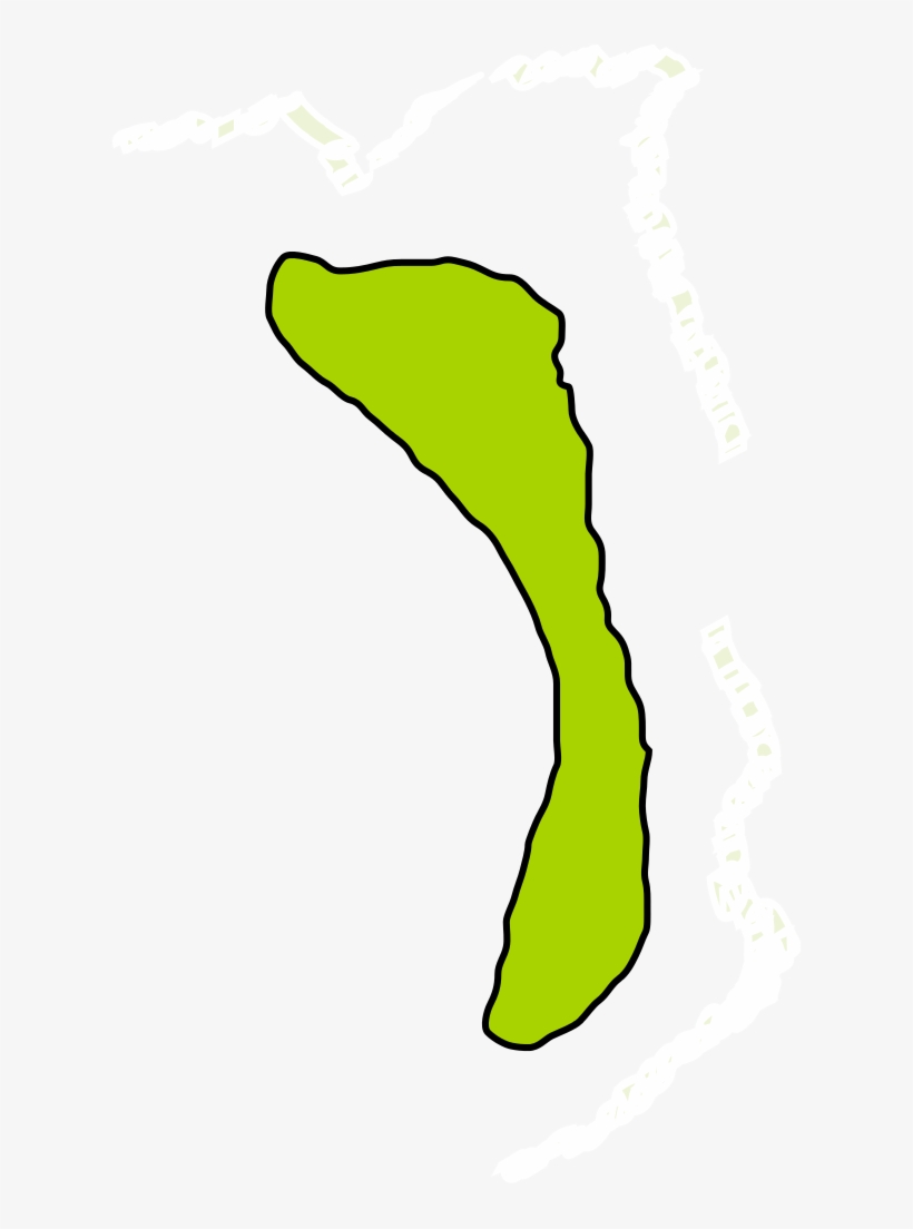 Isla De Aves En - Isla Aves, transparent png #3049780