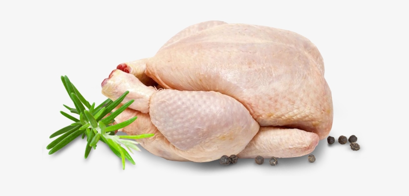 Nuestros Productos - Re Nightmare, transparent png #3049810