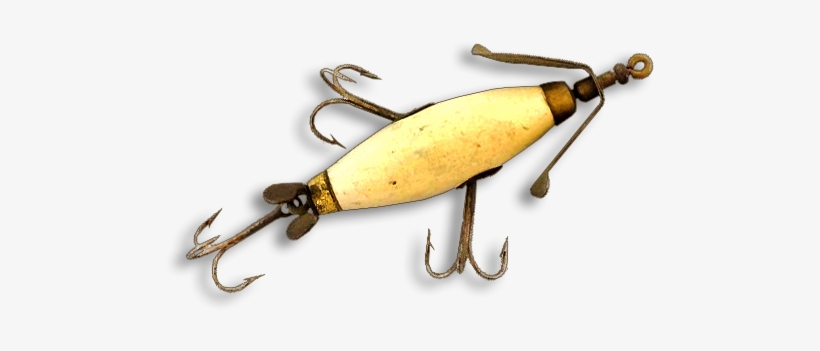 An Annual Membership For United States Is $35 - Fishing Lure, transparent png #3050026