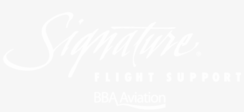 John Blake - Twitter White Icon Png, transparent png #3050897