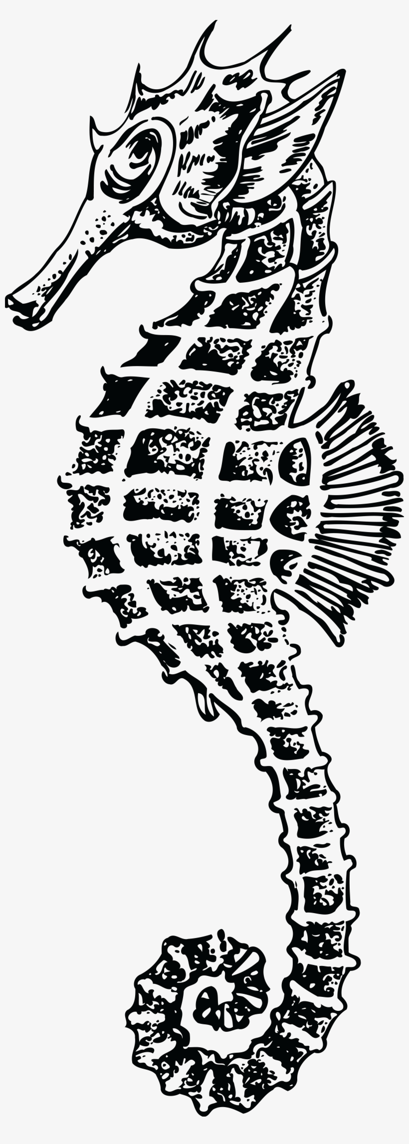 Free Clipart Of A Seahorse - Caballito De Mar Dibujado, transparent png #3052068