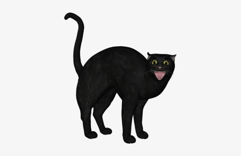 Blackcat - Tennessee, transparent png #3052650