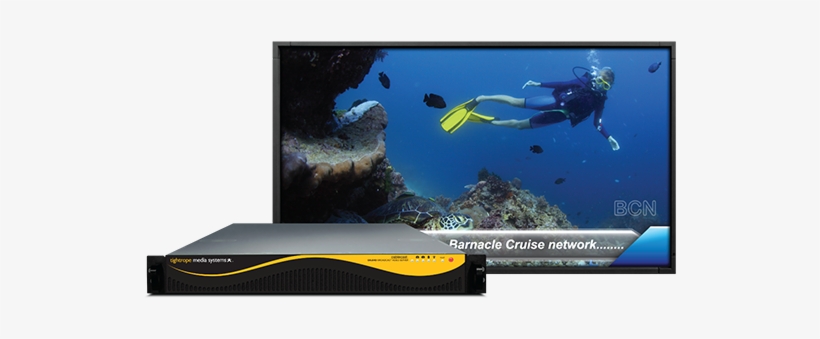 With The Latest Equipment Upgrade, Wcstv Is Poised - Underwater Diving, transparent png #3054256