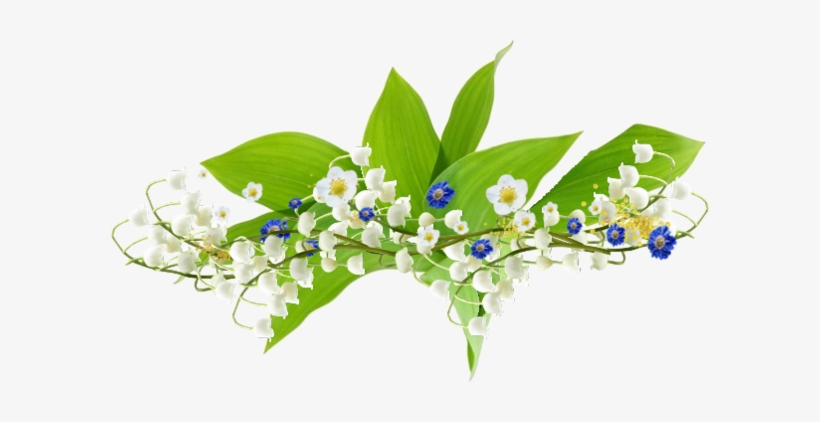 Publicat De Eu Ciresica La - Barres De Séparations Muguet, transparent png #3054994