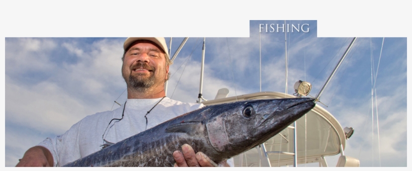 Jigging, transparent png #3055048