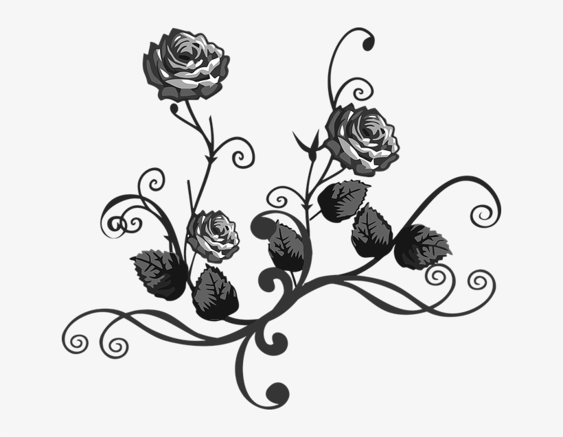 Flower Divider - Black & White Flowers, transparent png #3055067