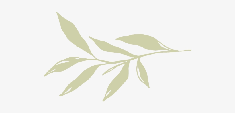 Jen Bij New Divider 01 - Portable Network Graphics, transparent png #3055139