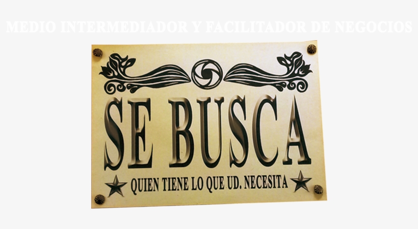 Stc Salgótarján, transparent png #3055722