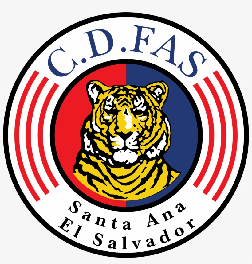 Cd Fas, transparent png #3056203