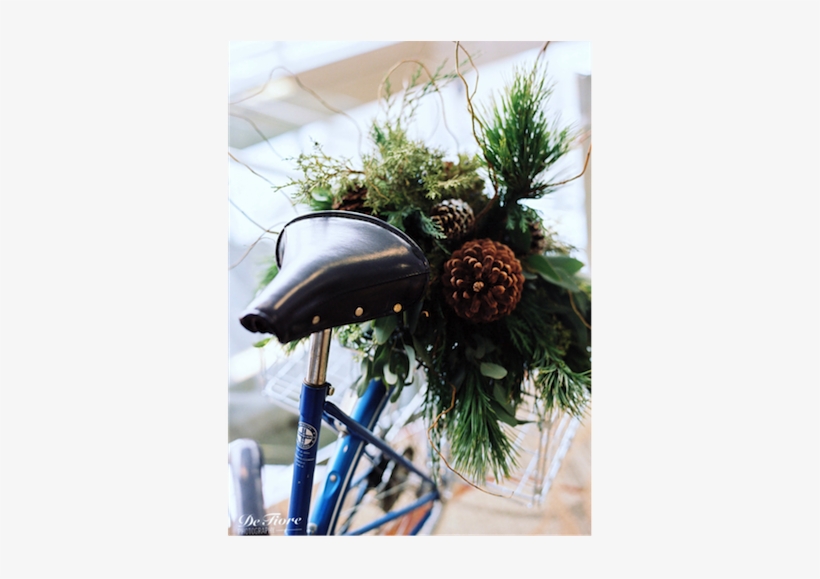 Flowers - Photography, transparent png #3056316