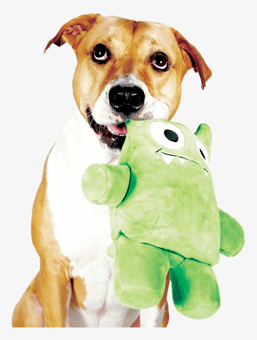 The Toy Your Dog Can Destroy Over And Over Againtm - Dog Toy, transparent png #3056676