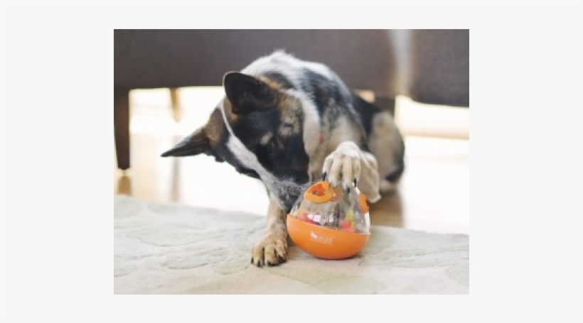 Click - P.l.a.y. (pet Lifestyle And You) Durable Orange Wobble, transparent png #3056908