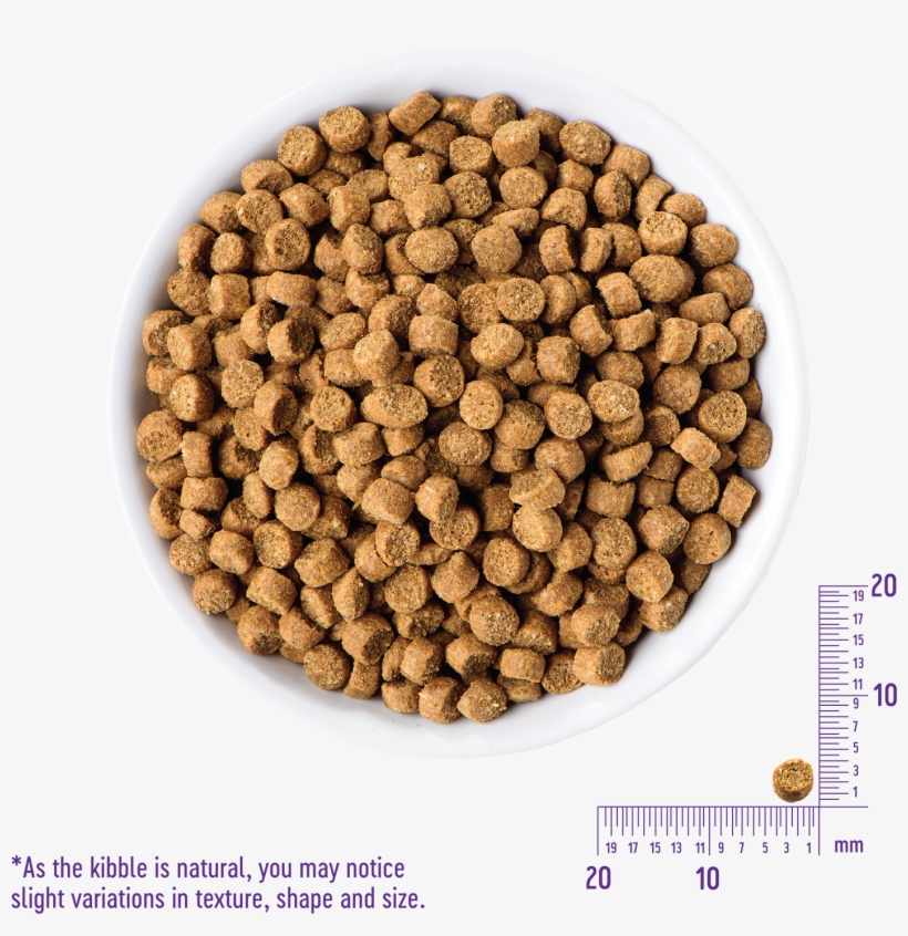 Complete Health Toy Breed - Pet Food, transparent png #3057024