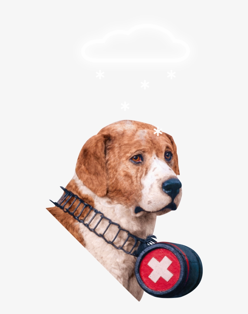 Naturhistorisches Museum Bern, Barry Der Legendäre - Barry, transparent png #3057209