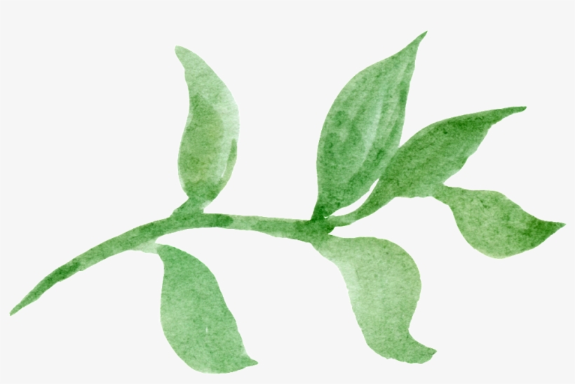 This Graphics Is Green Leaf Transparent About Vector,poster - Green, transparent png #3057231