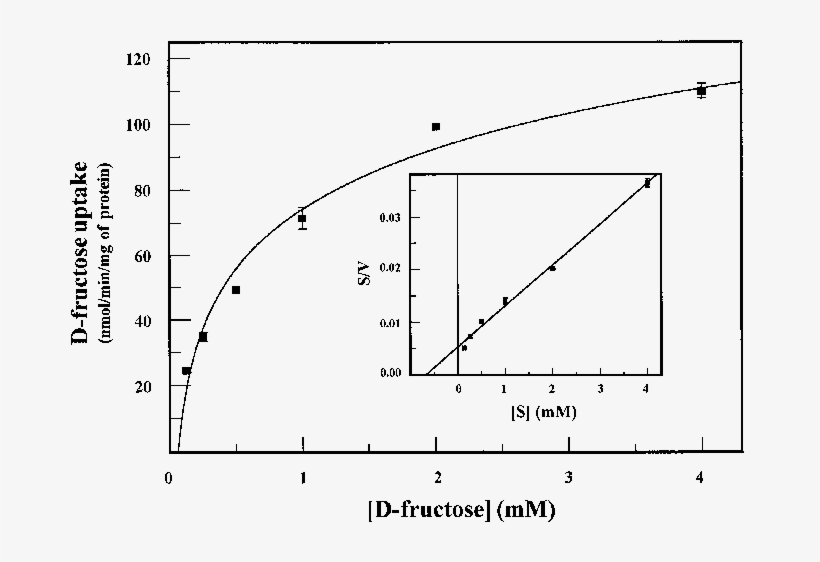 Kinetics Of Initial D Fructose Uptake The Rate Of D - Diagram, transparent png #3058196