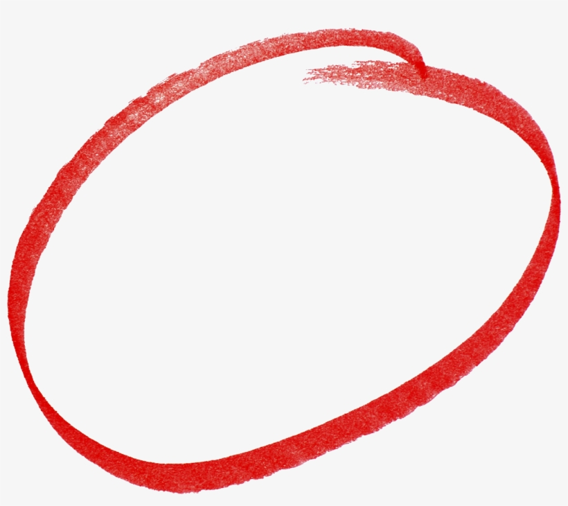 No Data Races - Colorfulness, transparent png #3058817