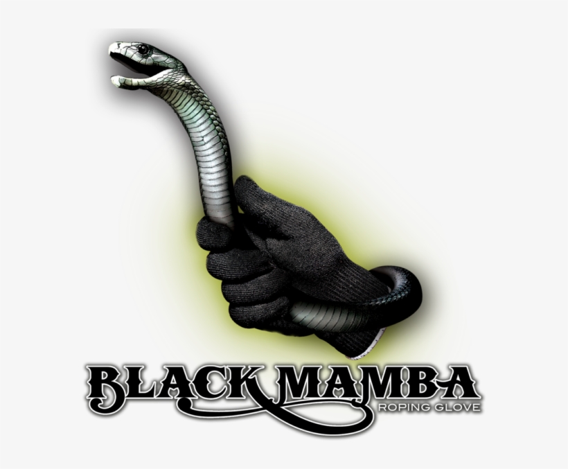 Black Mamba Png Image - Lone Star Black Mamba Roping Gloves, transparent png #3059069