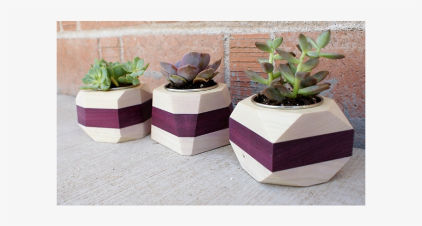 Discontinued Purpleheart Stripe Wood Geometric Planter - Ceramic, transparent png #3059706